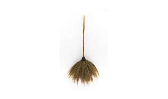 Thailand Broom – SKS Sirius
